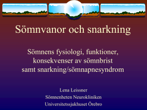 Bilder från Lena Leissners föreläsning