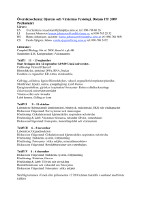 Översiktsschema 09