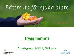 Träff 1 bildspel (ppt)