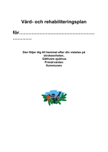 Detta är din vård och rehabiliteringsplan