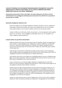 VILKA ÄR STYRKORNA I DEN NUVARANDE GRUNDLÄGGANDE