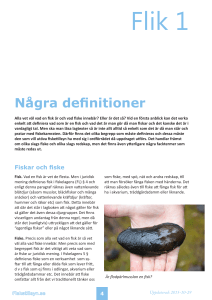 Några definitioner