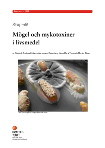 Mögel och mykotoxin i ris – fokus på basmati och råris