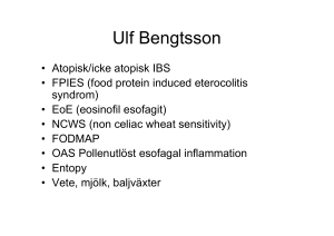 Ulf Bengtsson