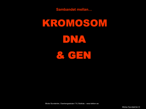 Hämta fil