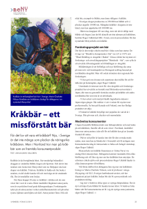 Kråkbär – ett missförstått bär
