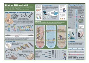 Så går en DNA