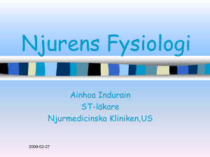 Njurens fysiologi