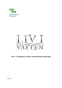Text: 1:e intendent Lars Bern, Naturhistoriska riksmuseet