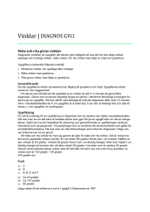 Vinklar | DIAGNOS GVi1