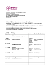 Seminarium - Visbygruppen (Obligatorisk)