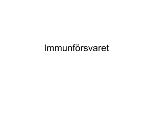 Immunförsvaret
