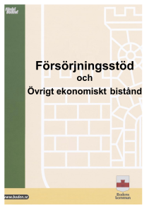 Information Försörjningsstöd
