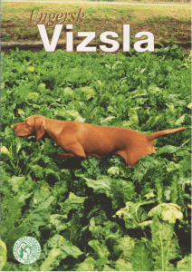 Raskompendium - Svenska vorstehklubben