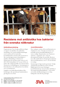Antibiotikaresistens Nötkreatur 2014