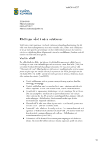 6b. Riktlinjer våld i nära relationer