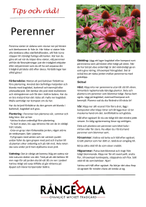 Perenner Perenner
