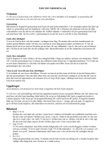 Visionen Uppdraget Bibelord