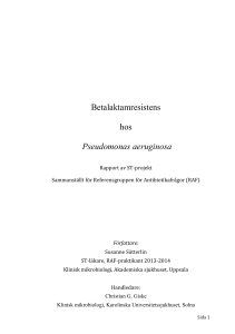 Betalaktamresistens hos Pseudomonas aeruginosa