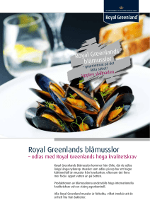 Royal Greenlands blåmusslor