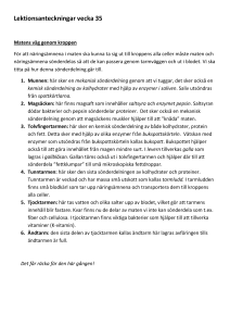 Lektionsanteckningar vecka 35