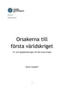 Orsakerna till första världskriget