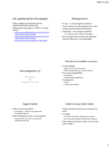 Neurokognition (1)