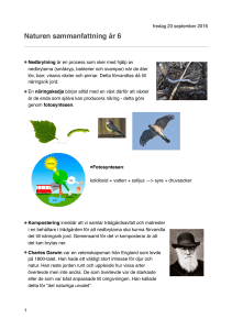 sammanfattning naturen år 6