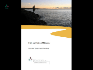 guld och gröna skogar…” Allt sämre fiske pga.