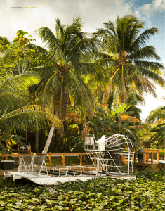 32 reportage everglades 32