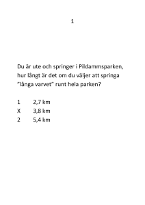 långa varvet