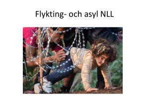 Flykting- och asylläget i Norrbotten