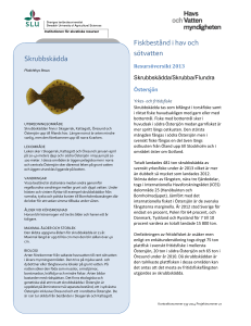Fiskbestånd i hav och sötvatten Skrubbskädda