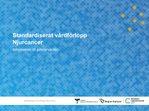 Standardiserat vårdförlopp Njurcancer