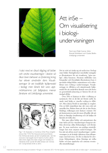 Att inSe – Om visualisering i biologi