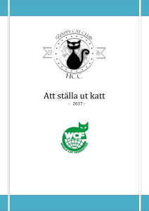 Att ställa ut katt