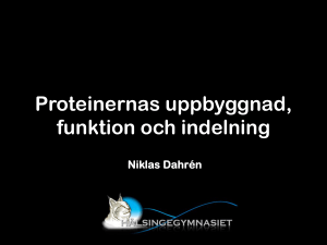 Proteinernas uppbyggnad, funktion och indelning