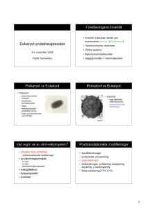 Eukaryot proteinexpression