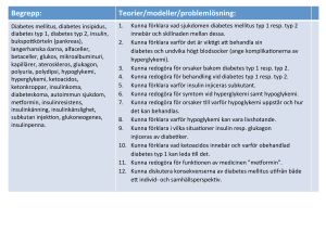 Begrepp: Teorier/modeller/problemlösning