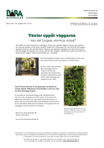 Växter uppåt väggarna