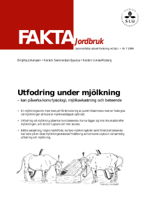Utfodring under mjölkning