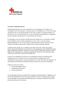 Instruktion angående bisyssla. Med begreppet bisyssla avses varje