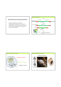 Akklimatisering=fenotypisk plasticitet