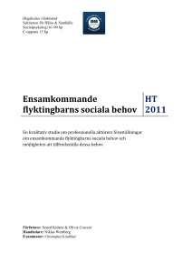 Ensamkommande flyktingbarns sociala behov