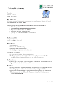 Lokal pedagogisk planering