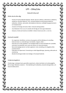 LPP – Olika/Lika