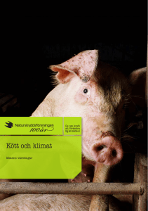 Kött och klimat - Svensk mat