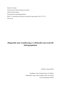 Diagnostik samt visualisering av Chlamydia som orsak till