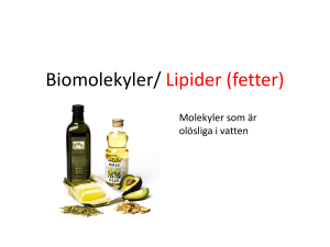 Biomolekyler/ Lipider (fetter)