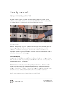 Naturlig matematik